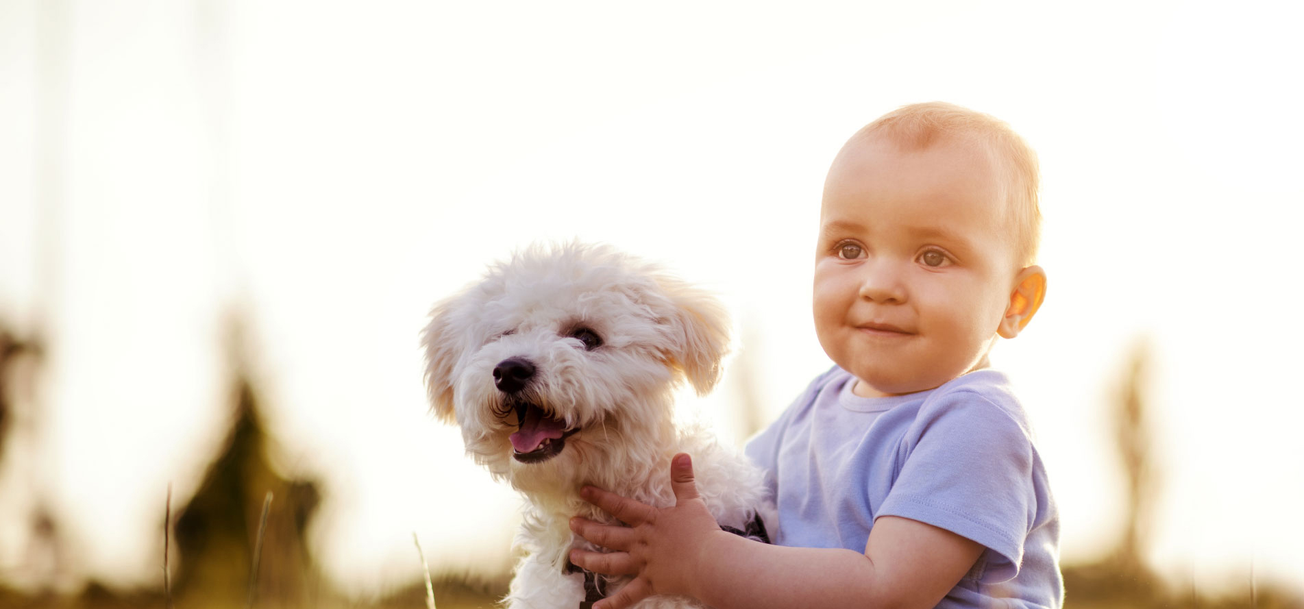 Wall Mounted Archives - Cardinal Gates