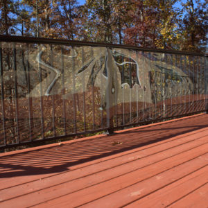 Outdoor Clear Deck Shield