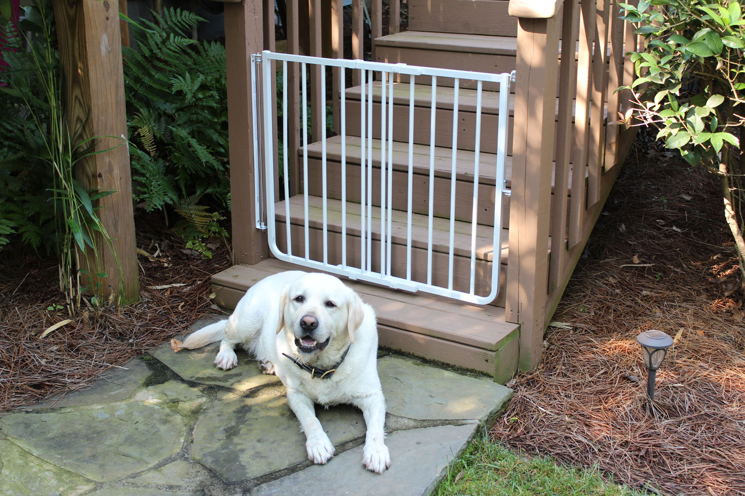 Outdoor Safety Gate | Pet Gates | Dog Gate | Cardinal Gates