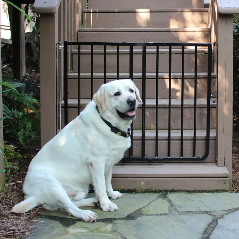 Outdoor Safety Gate (Model SS-30OD)